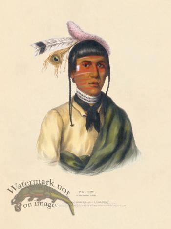 No-tin Chippewa
